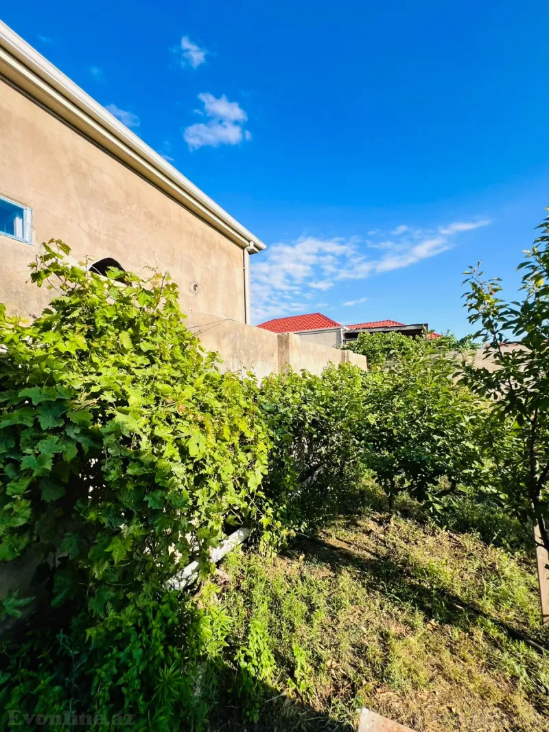 3 otaqlı həyət evi satılır — Pirşağı, Bakı - şəkil 14