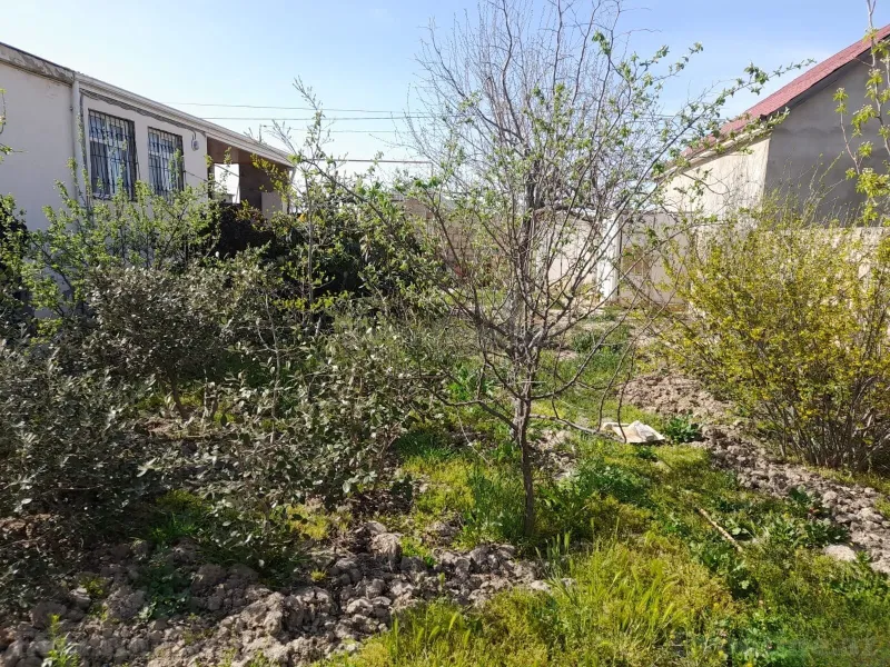 3 otaqlı həyət evi satılır — Sumqayıt - şəkil 2