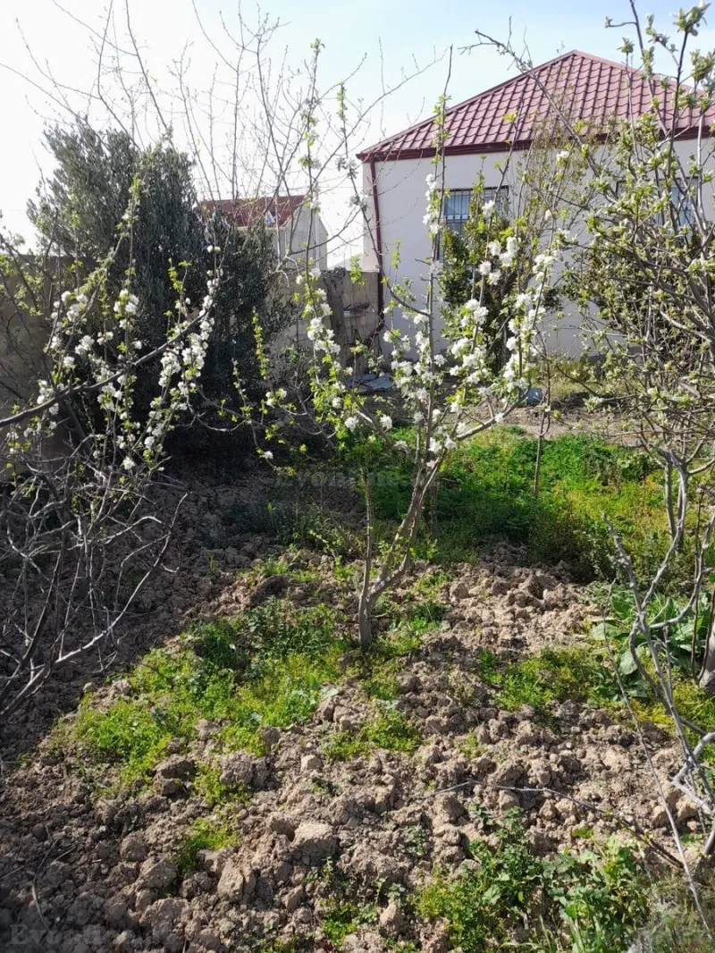 3 otaqlı həyət evi satılır — Sumqayıt - şəkil 3