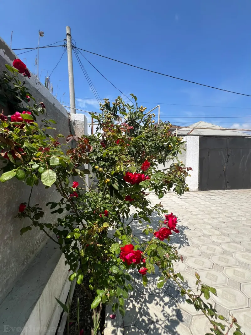 3 otaqlı həyət evi satılır — Məhəmmədi, Bakı - şəkil 12