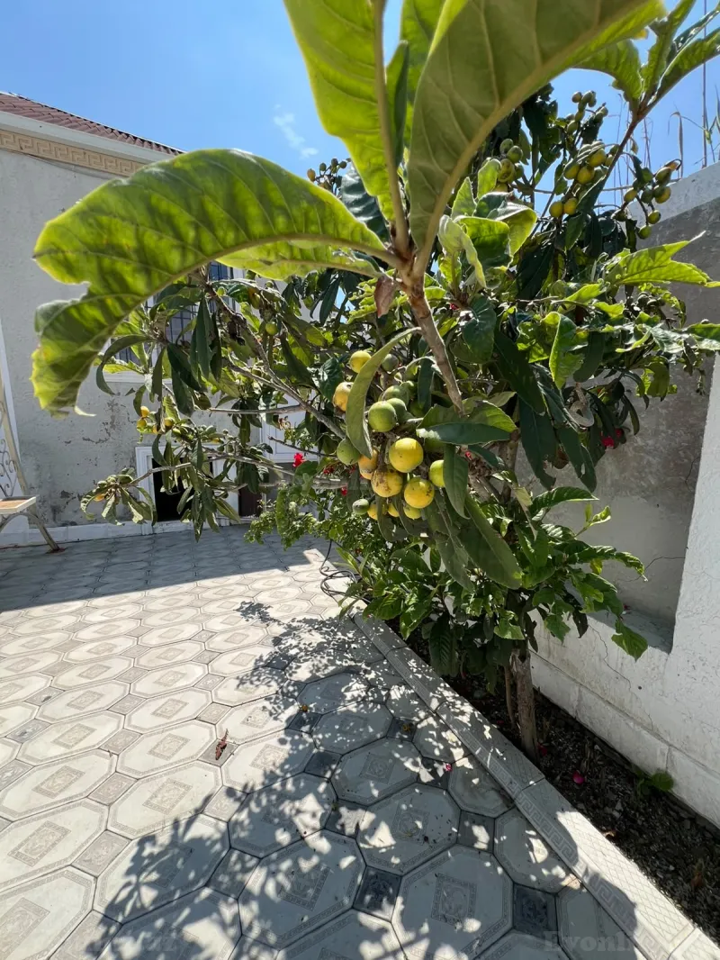 3 otaqlı həyət evi satılır — Məhəmmədi, Bakı - şəkil 14