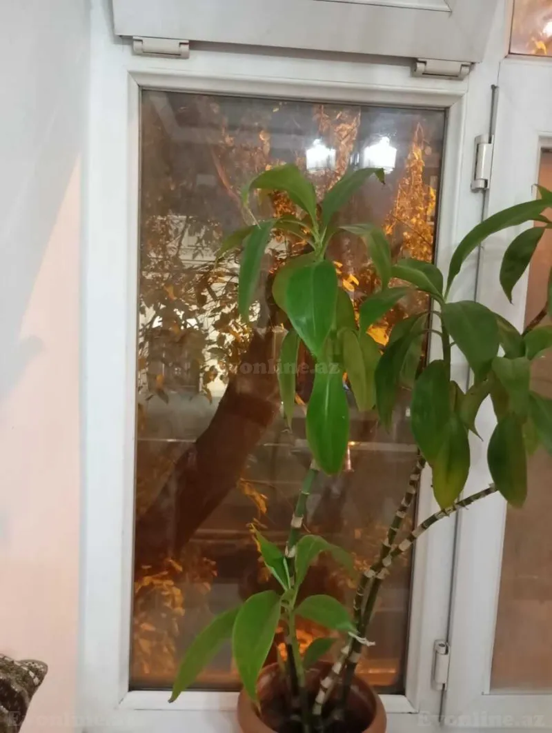 2 otaqlı köhnə tikili mənzil satılır — Nəsimi r., Bakı - şəkil 6