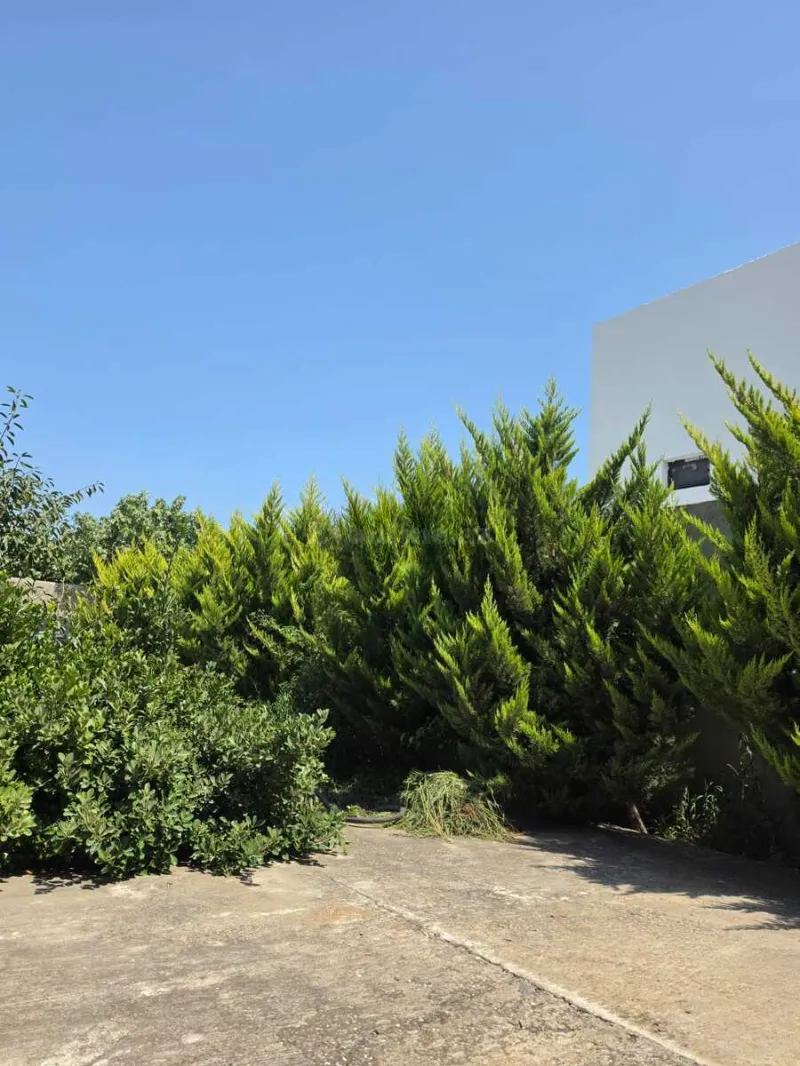 7 otaqlı həyət evi satılır — Albalılıq, Bakı - şəkil 19