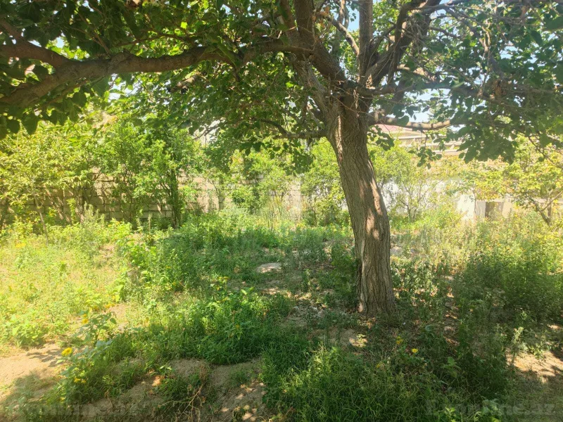 4 otaqlı həyət evi satılır — Sumqayıt - şəkil 8