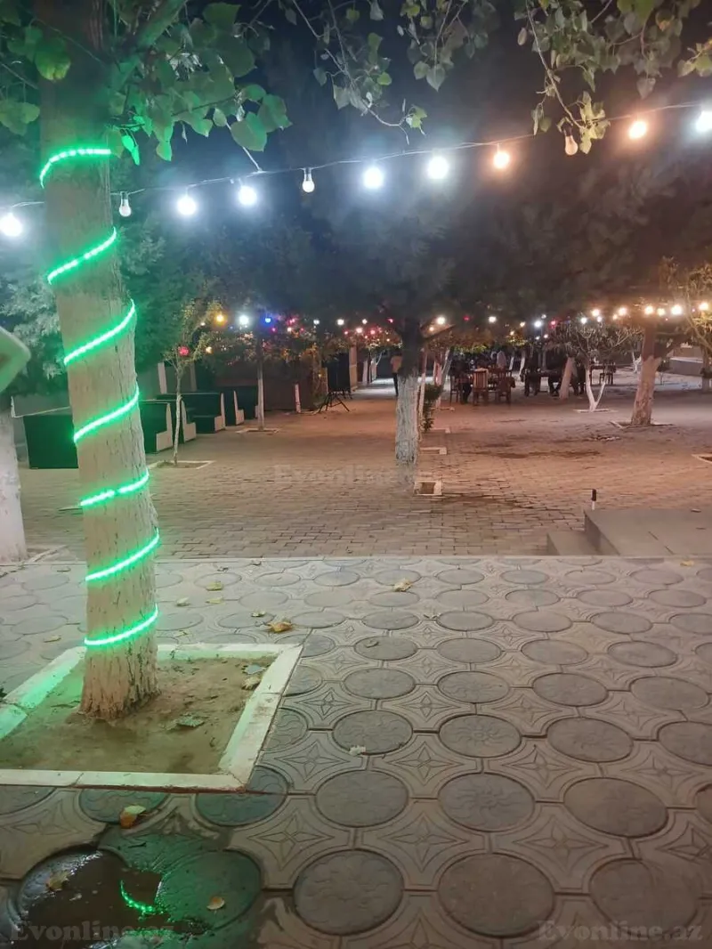 Obyekt satılır — Saray, Bakı - şəkil 8