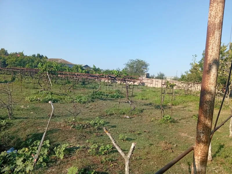 Torpaq satılır — Pirşağı, Bakı - şəkil 10
