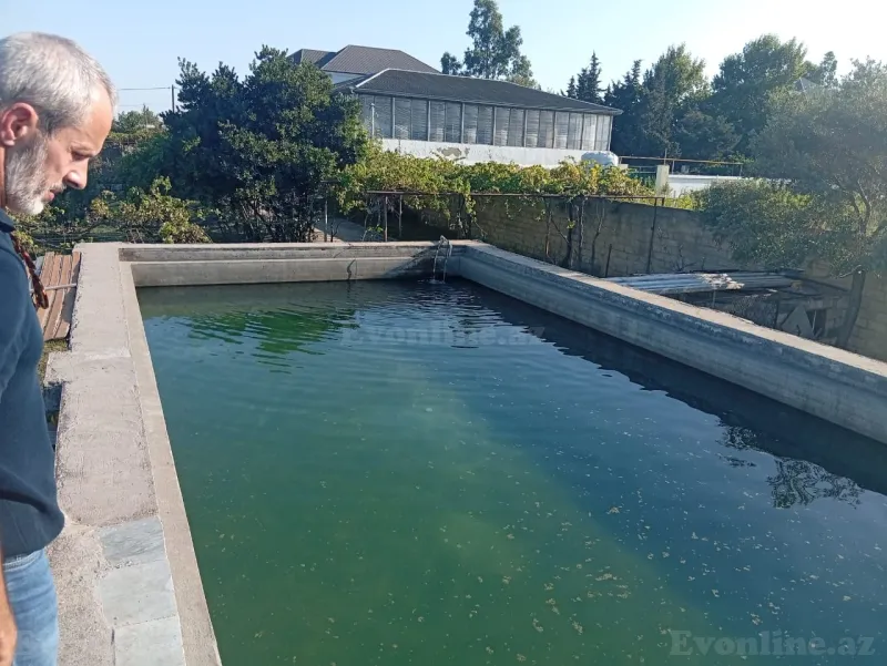 Torpaq satılır — Pirşağı, Bakı - şəkil 14