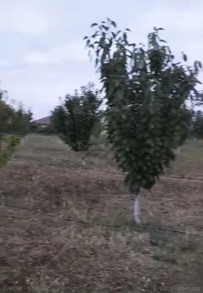 Torpaq Qusar Satılır