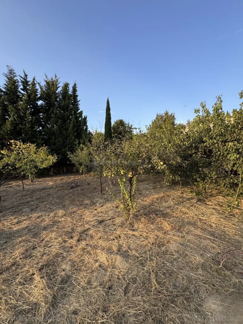 Torpaq satılır — Novxanı, Bakı - şəkil 3