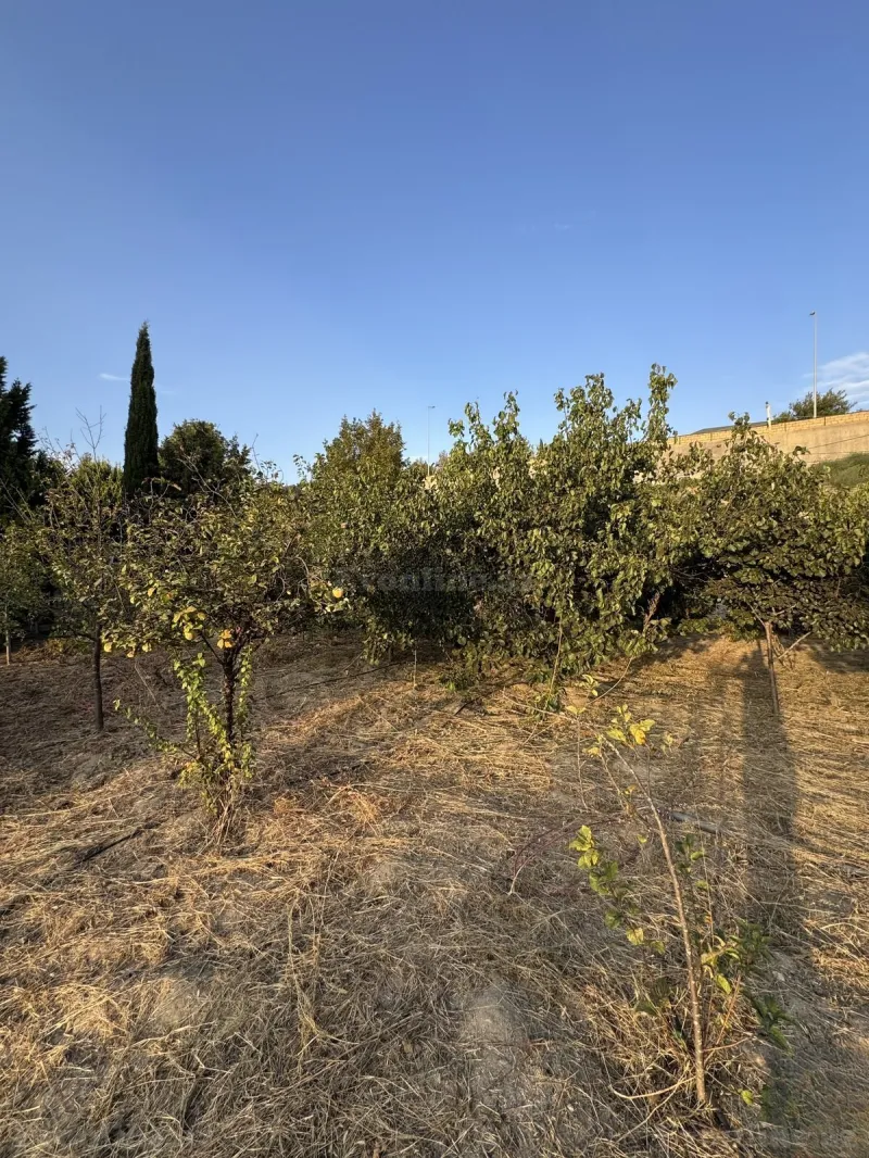 Torpaq satılır — Novxanı, Bakı - şəkil 4