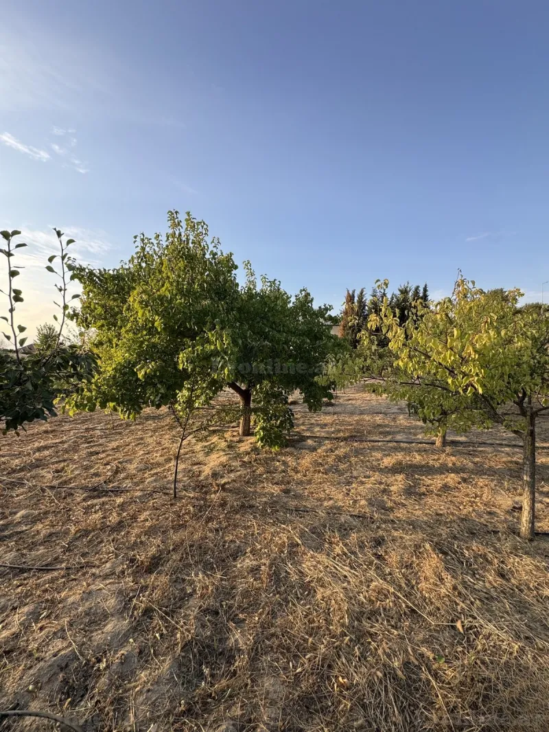 Torpaq Novxanı Satılır