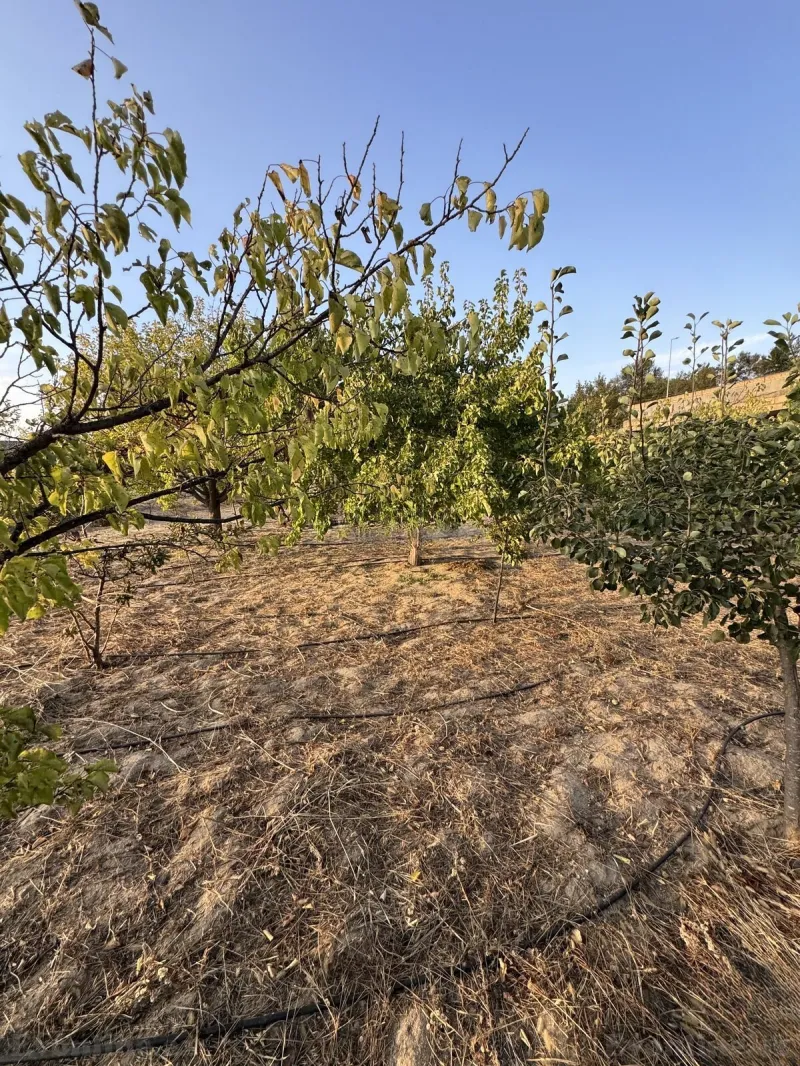 Torpaq satılır — Novxanı, Bakı - şəkil 5
