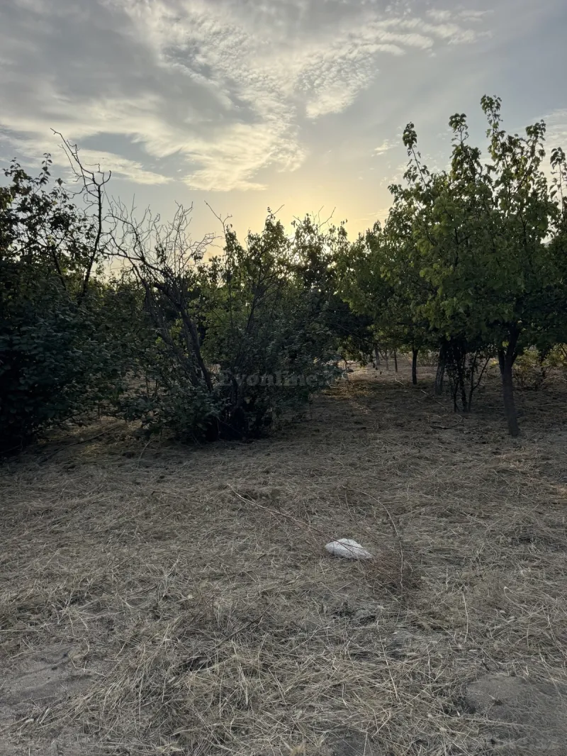Torpaq satılır — Novxanı, Bakı - şəkil 2