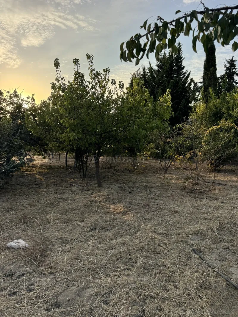 Torpaq satılır — Novxanı, Bakı - şəkil 3