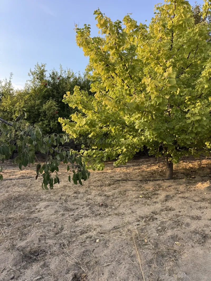 Torpaq satılır — Novxanı, Bakı - şəkil 5