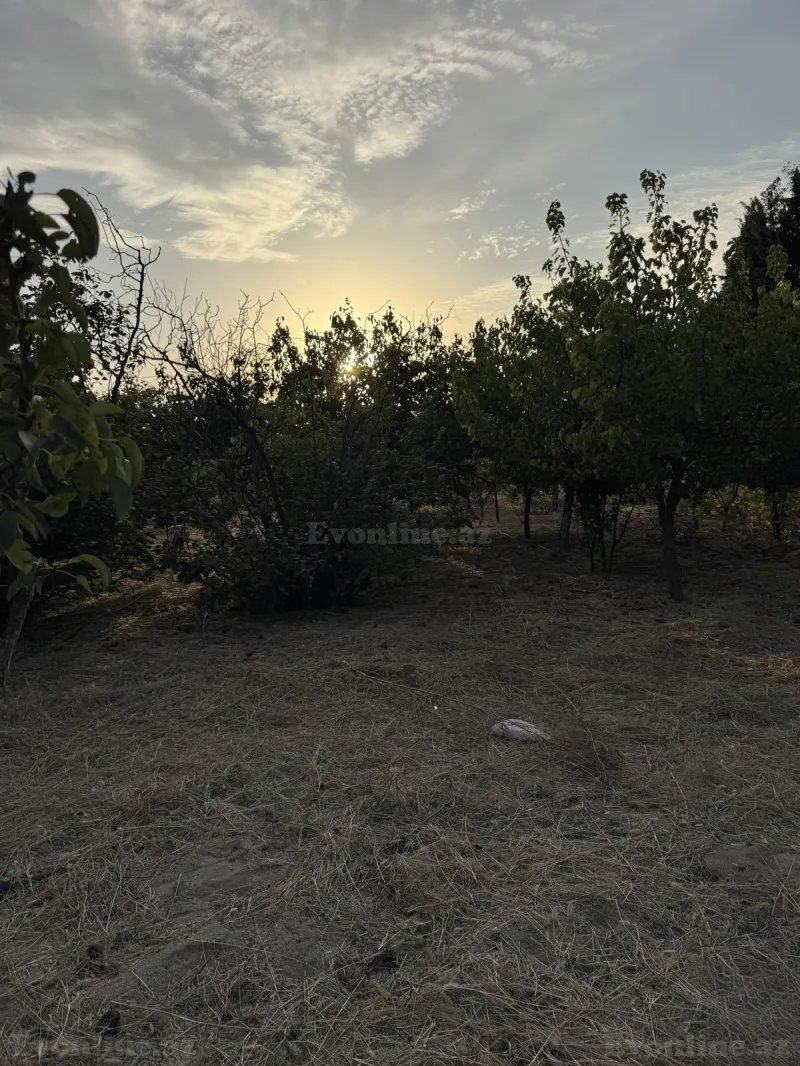 Torpaq satılır — Novxanı, Bakı - şəkil 6