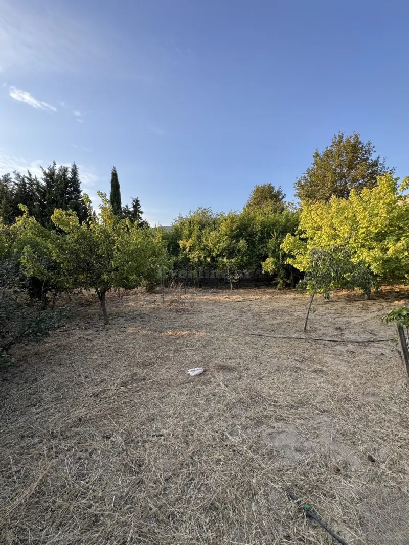 Torpaq satılır — Novxanı, Bakı - şəkil 2