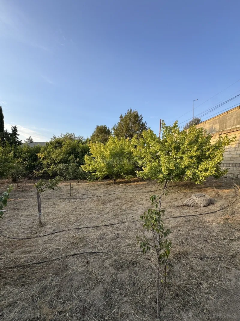 Torpaq satılır — Novxanı, Bakı - şəkil 3