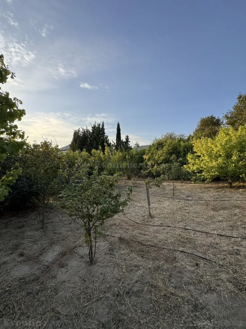 Torpaq satılır — Novxanı, Bakı - şəkil 4