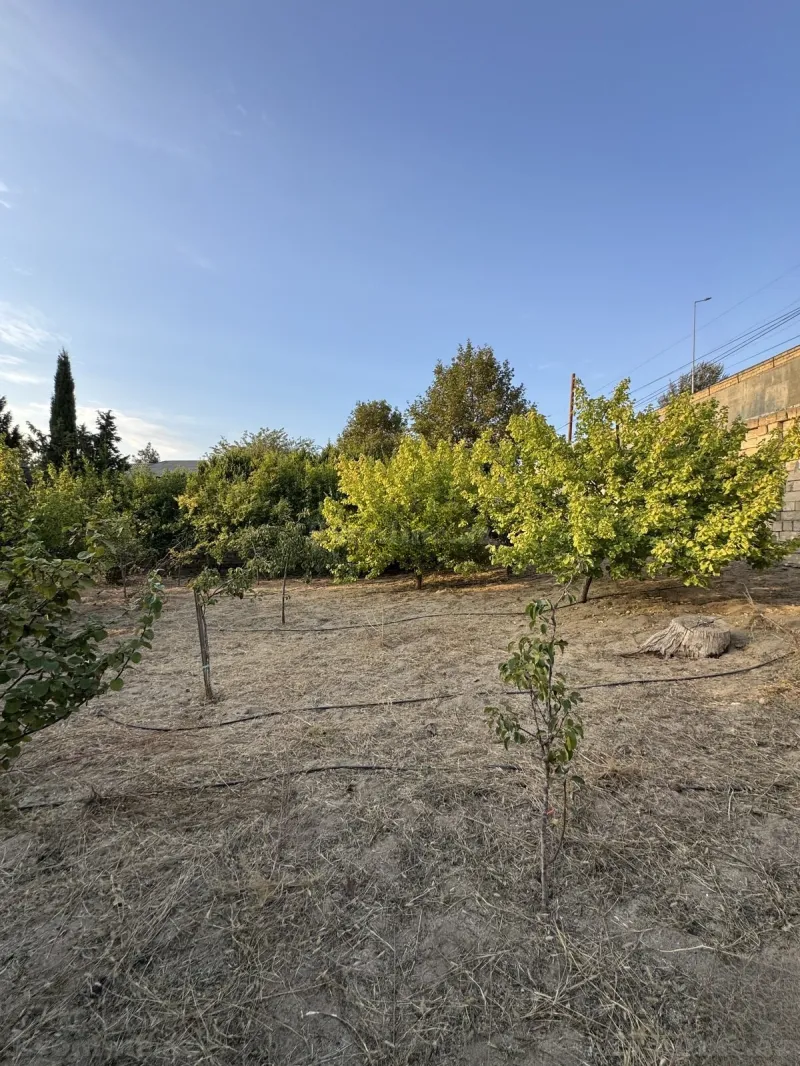 Torpaq satılır — Novxanı, Bakı - şəkil 5