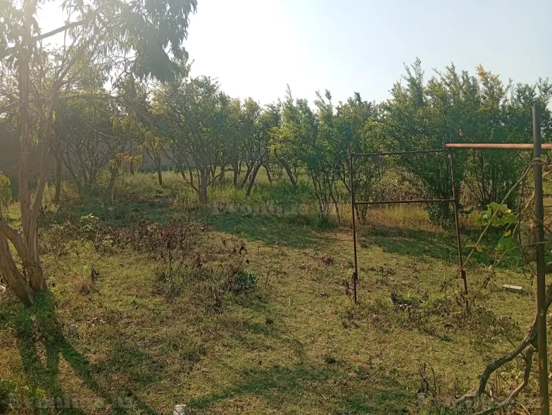 Torpaq Pirşağı Satılır