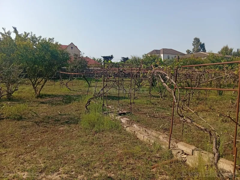 Torpaq satılır — Pirşağı, Bakı - şəkil 3