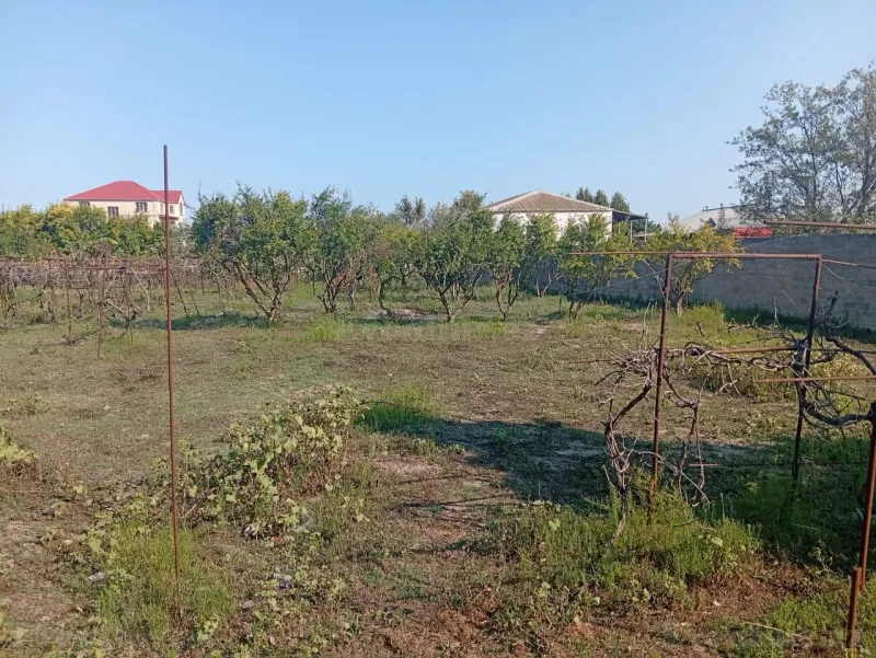 Torpaq satılır — Pirşağı, Bakı - şəkil 4