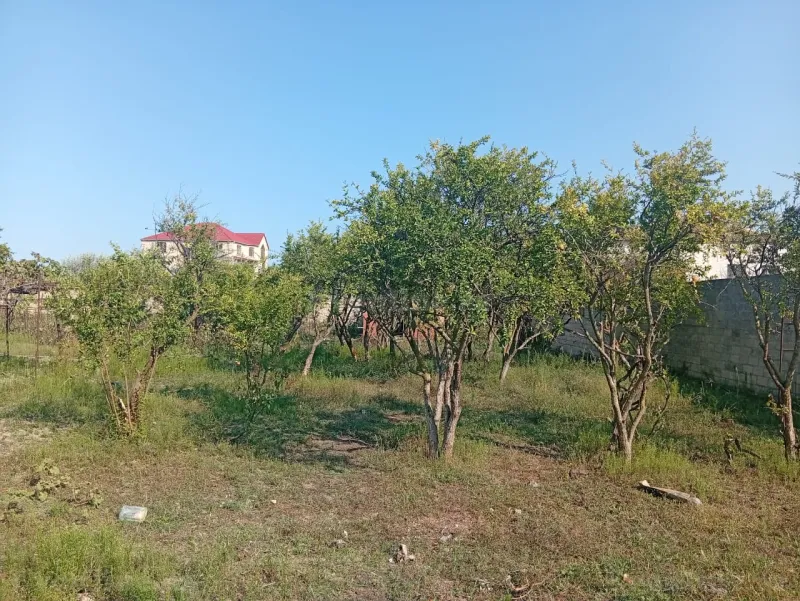 Torpaq satılır — Pirşağı, Bakı - şəkil 5
