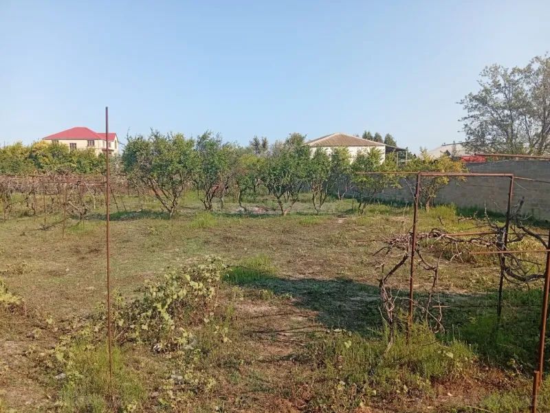 Torpaq satılır — Pirşağı, Bakı - şəkil 7