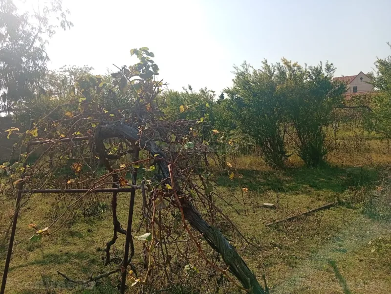 Torpaq satılır — Pirşağı, Bakı - şəkil 8