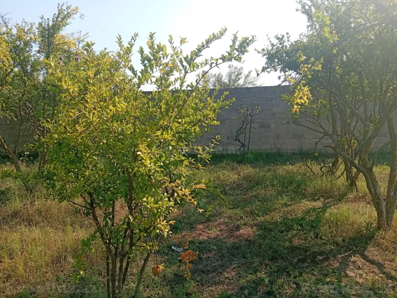 Torpaq satılır — Pirşağı, Bakı - şəkil 9