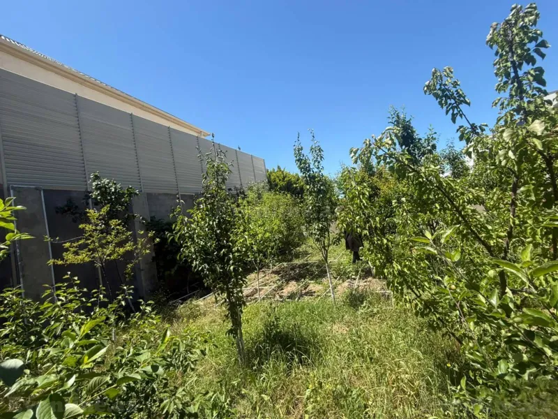 4 otaqlı həyət evi satılır — Albalılıq, Bakı - şəkil 23