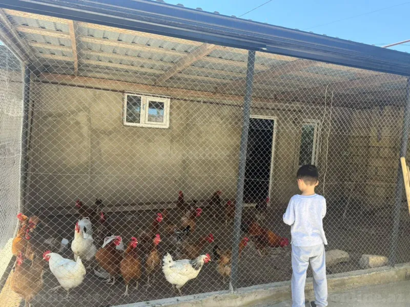 4 otaqlı həyət evi satılır — Albalılıq, Bakı - şəkil 26