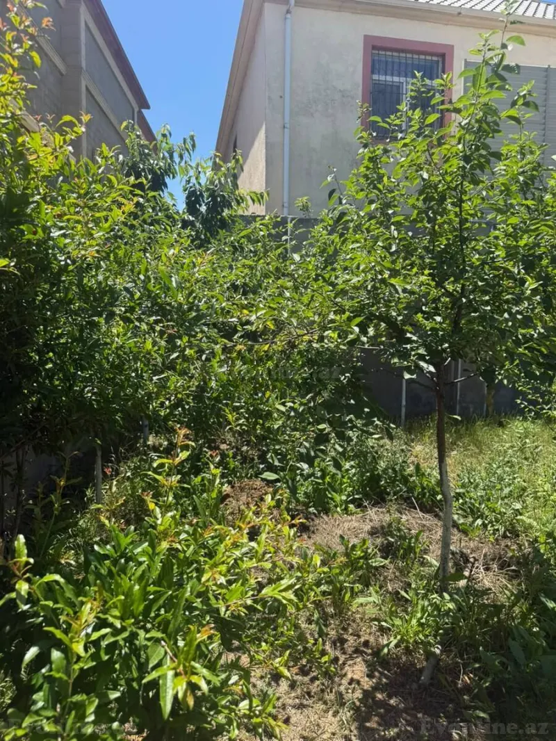 4 otaqlı həyət evi satılır — Albalılıq, Bakı - şəkil 28