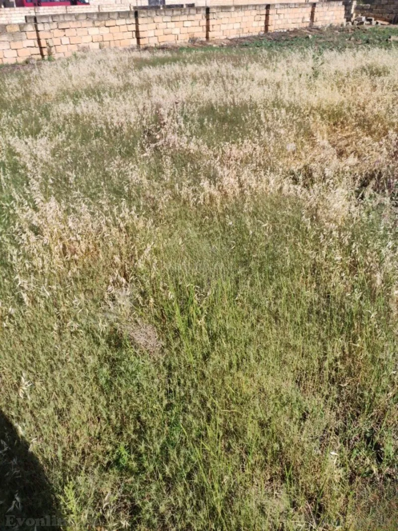 Torpaq satılır — Mehdiabad, Bakı - şəkil 2