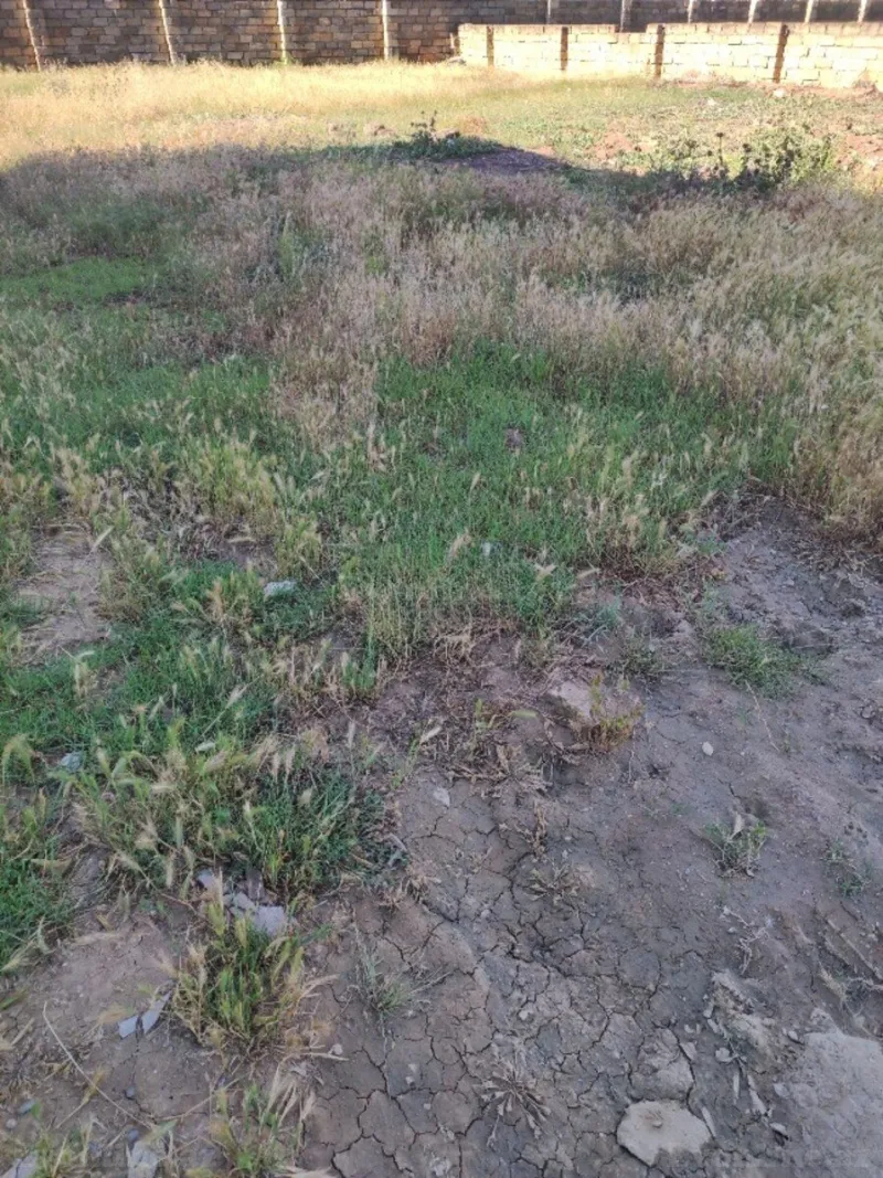 Torpaq satılır — Mehdiabad, Bakı - şəkil 4