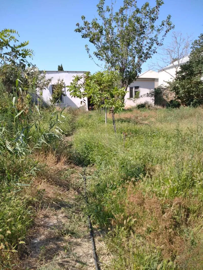 9 otaqlı həyət evi satılır — Novxanı, Bakı - şəkil 4