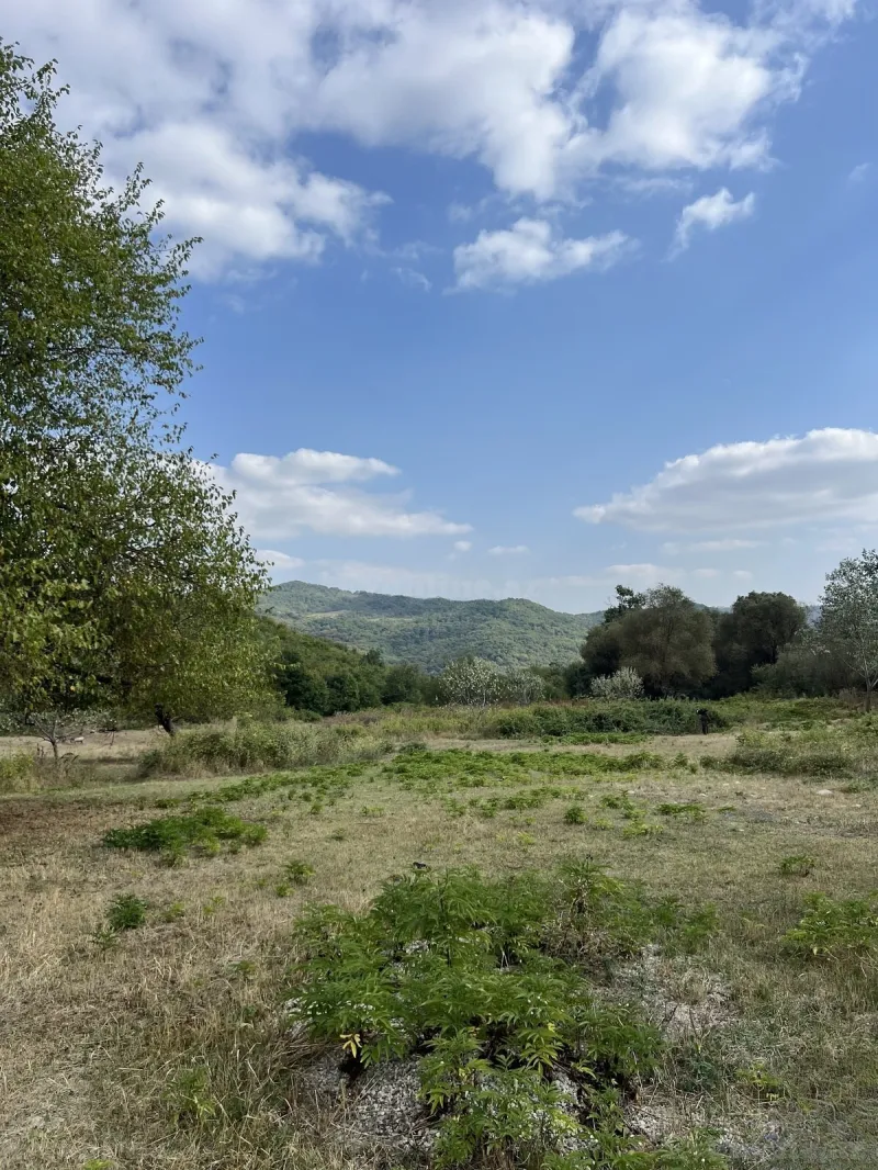 Torpaq satılır — Şamaxı - şəkil 4