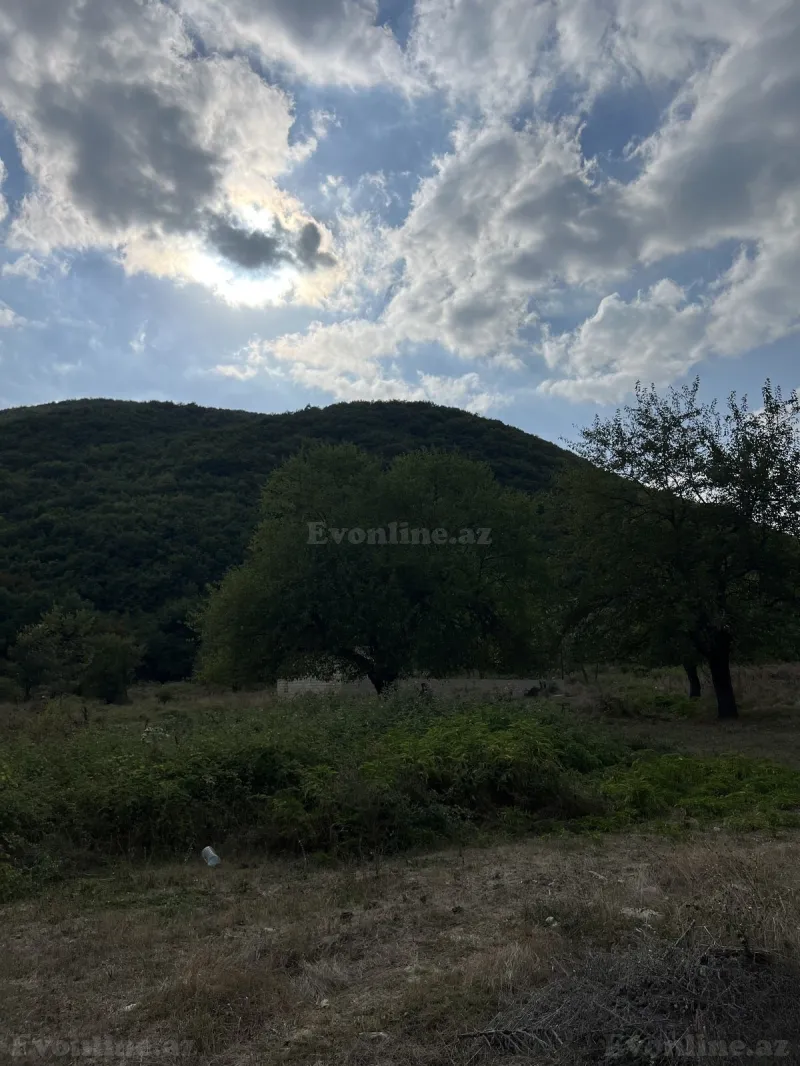 Torpaq satılır — Şamaxı - şəkil 6