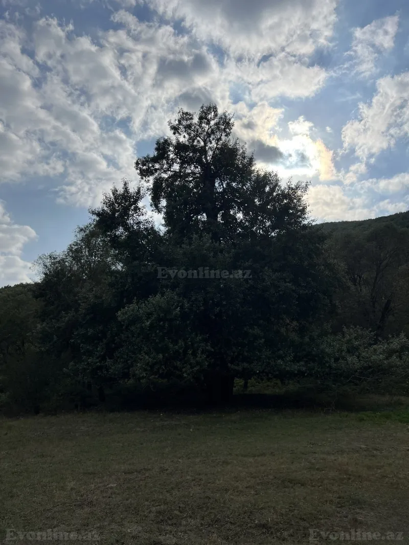 Torpaq satılır — Şamaxı - şəkil 9