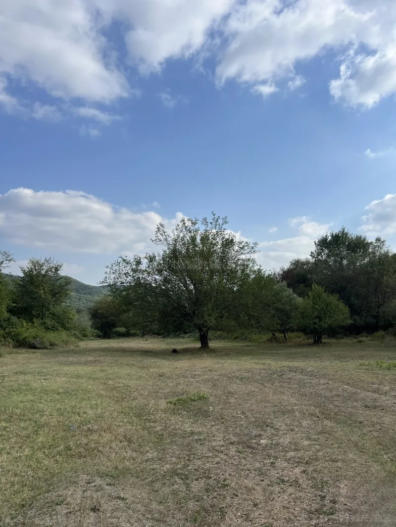 Torpaq satılır — Şamaxı - şəkil 11