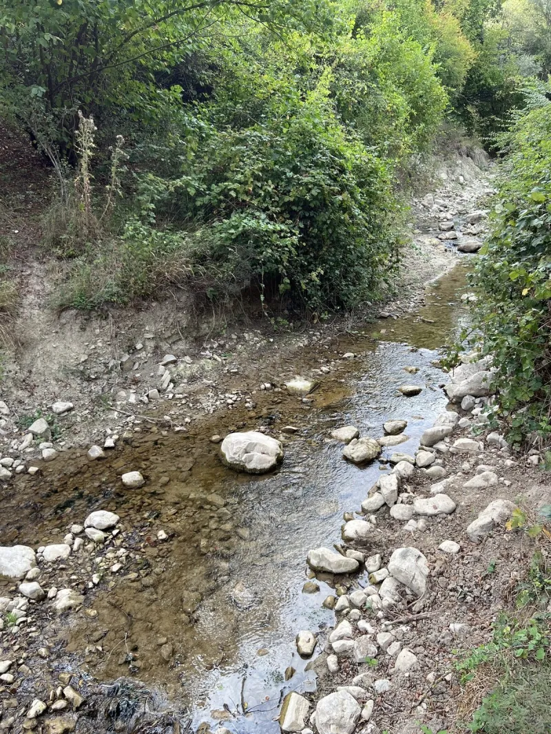 Torpaq satılır — Şamaxı - şəkil 14