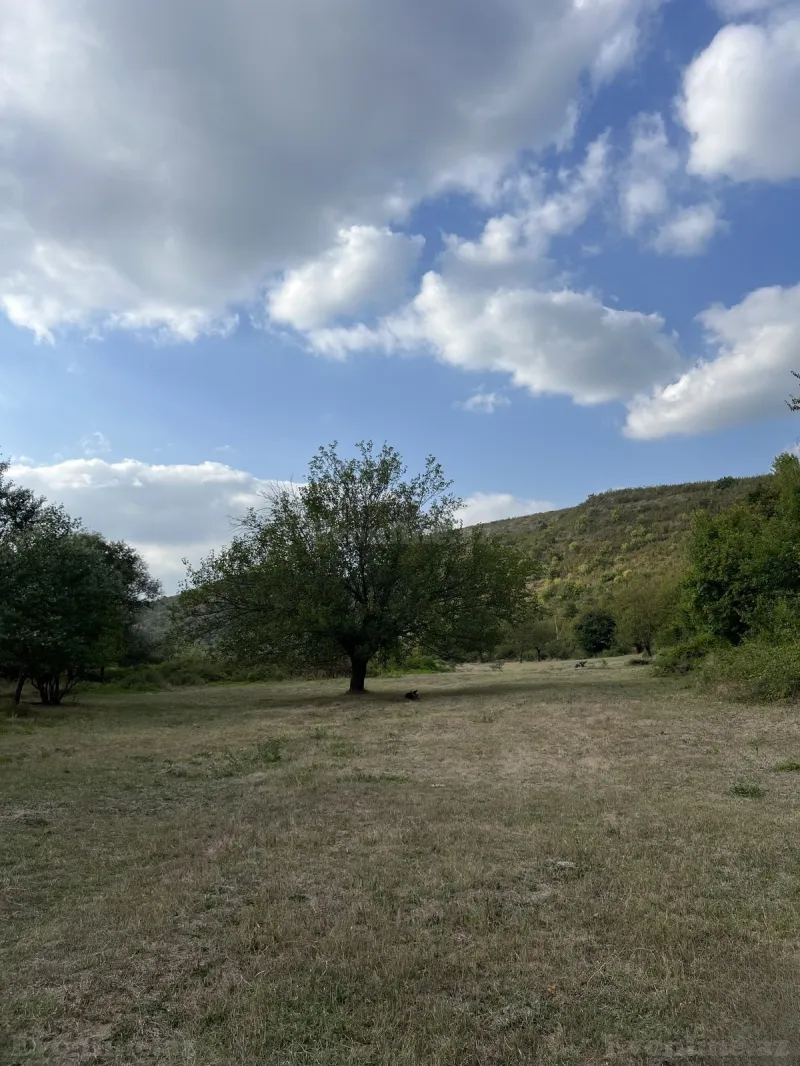 Torpaq satılır — Şamaxı - şəkil 15