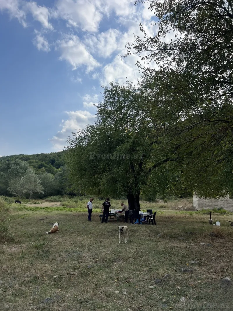 Torpaq satılır — Şamaxı - şəkil 17