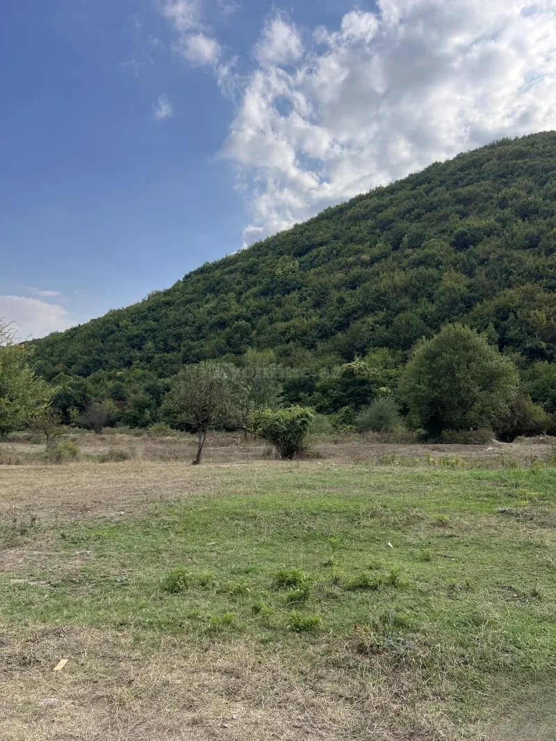 Torpaq satılır — Şamaxı - şəkil 19