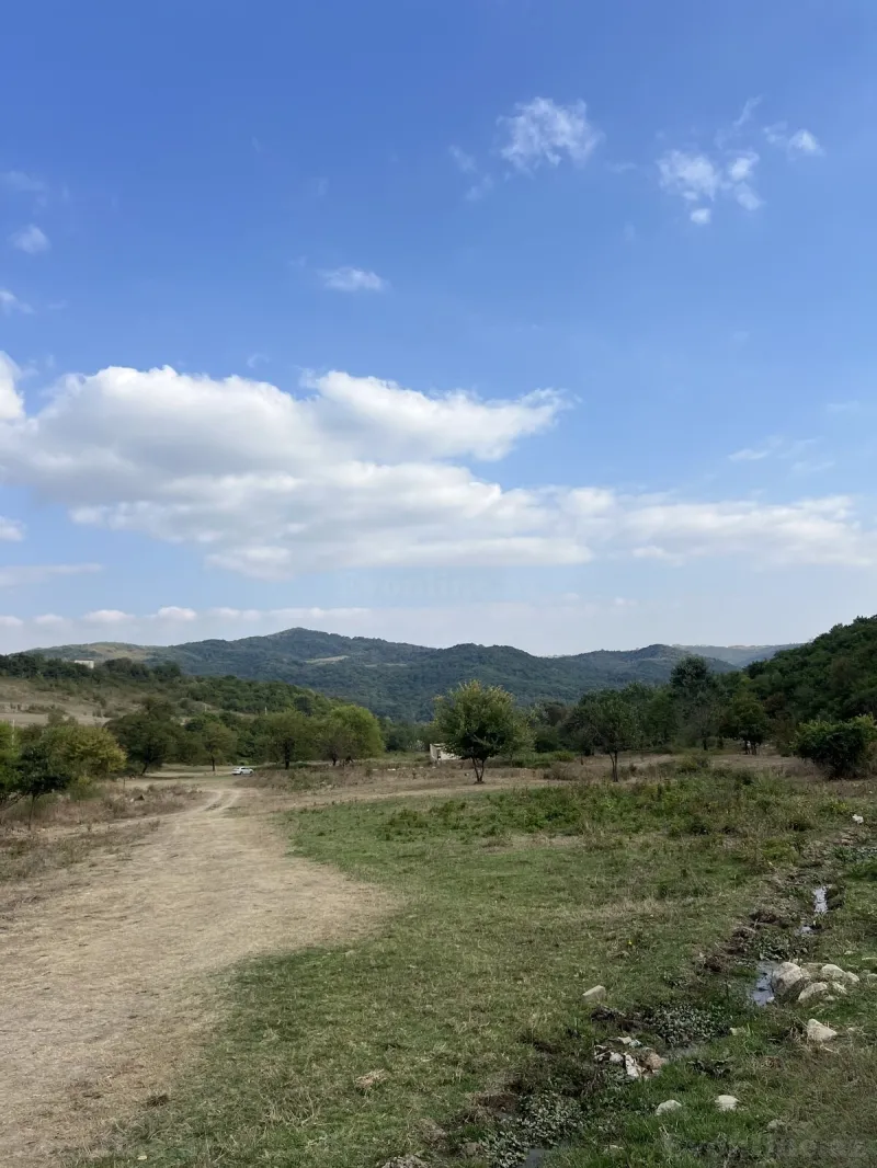Torpaq satılır — Şamaxı - şəkil 25