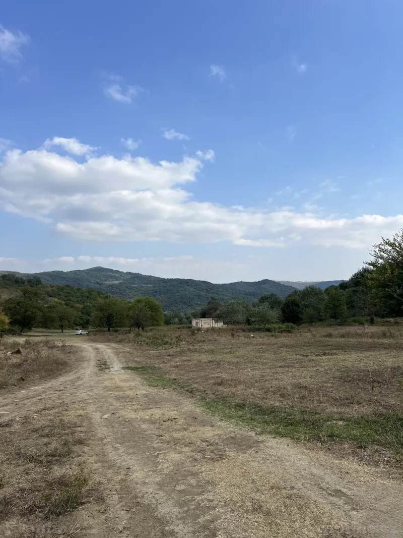 Torpaq satılır — Şamaxı - şəkil 26