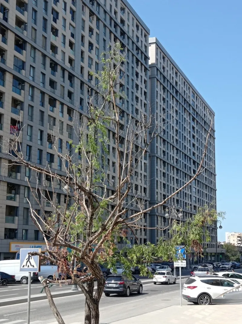 3 otaqlı yeni tikili mənzil satılır — Xətai r., Bakı - şəkil 3
