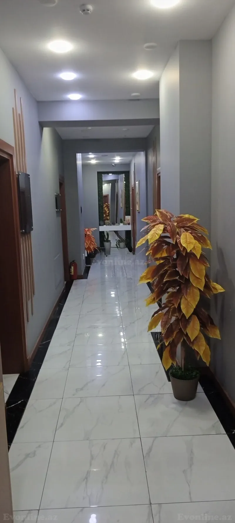 3 otaqlı Ofis 80 m² 8-ci mikrorayon Kirayə verilir