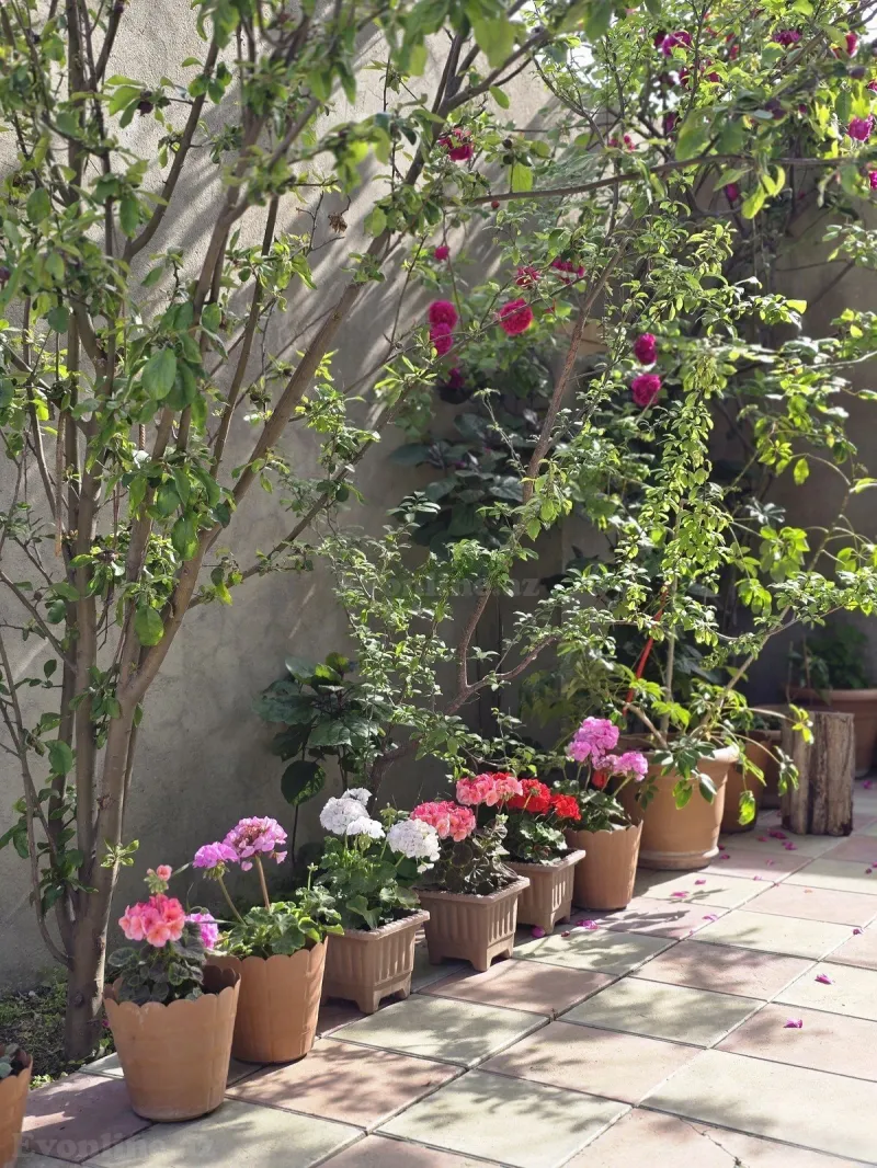 4 otaqlı Həyət evi 90 m² Sumqayıt Satılır